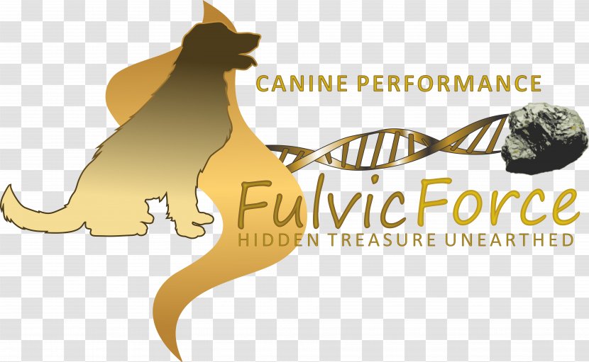 Cat Dog Felidae Fulvic Acid Well-being - Carnivoran - Domestic Animals Transparent PNG