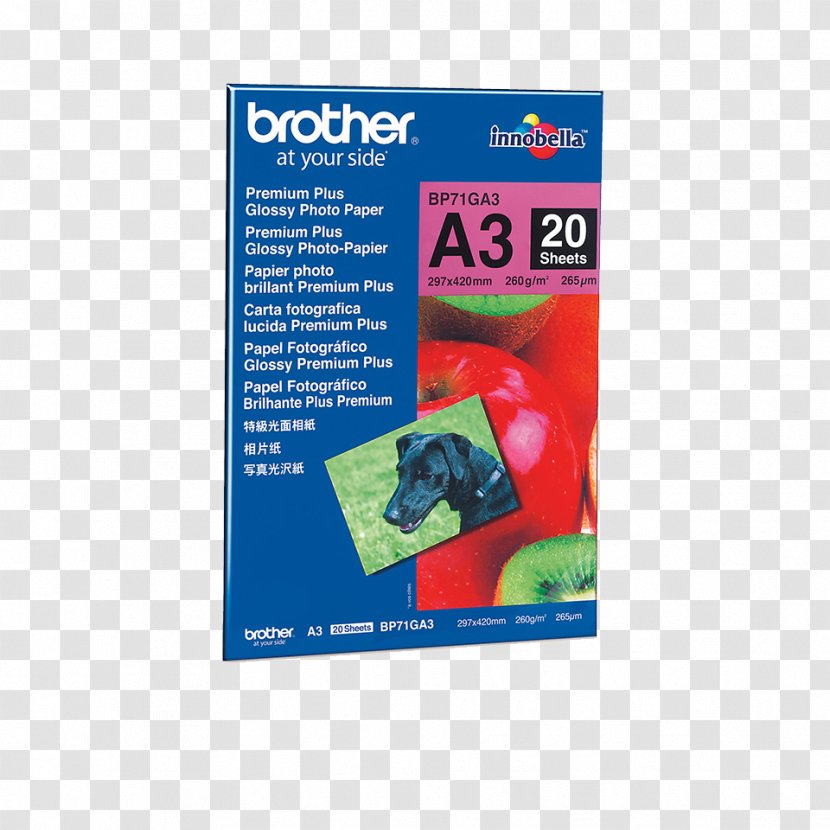 Photographic Paper Printing Brother Industries Inkjet - Galliumiii Fluoride Transparent PNG