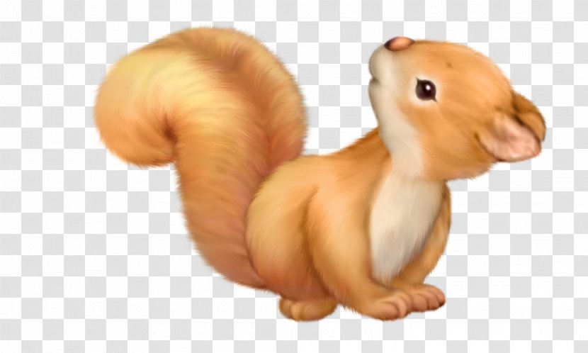 Squirrel Cuteness Animation Clip Art Transparent PNG