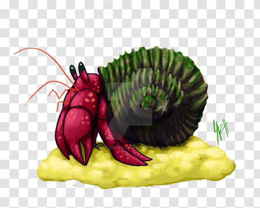 Insect Cartoon Vegetable Legendary Creature - Hermit Crabs Transparent PNG