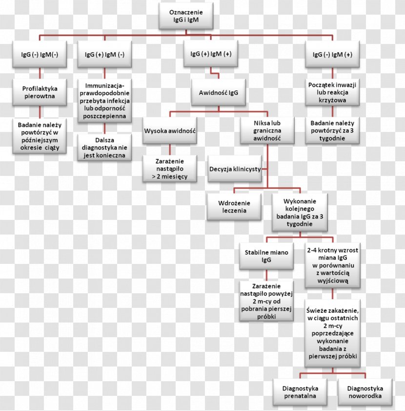 Rubella Virus Immunoglobulin G M - Scabies Spuckler Transparent PNG