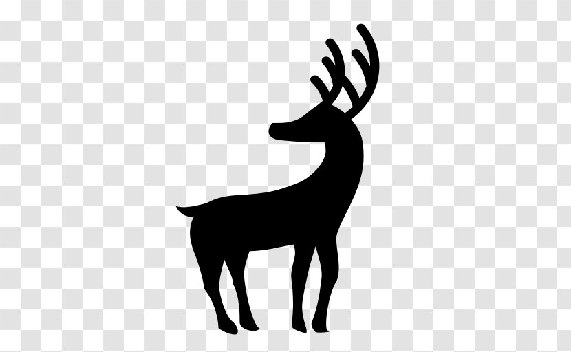 Reindeer Clip Art - Deer Transparent PNG