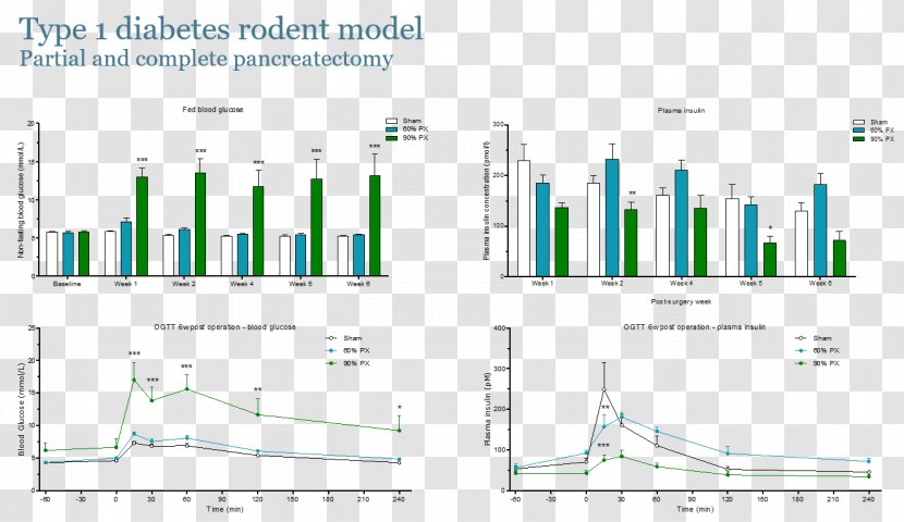 Type 1 Diabetes Mellitus 2 Anti-diabetic Medication Glycated Hemoglobin - Diabetic Diet Transparent PNG