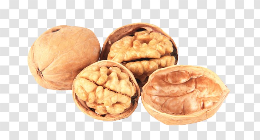Walnut Dried Fruit Food - Nuts Seeds - Share Transparent PNG