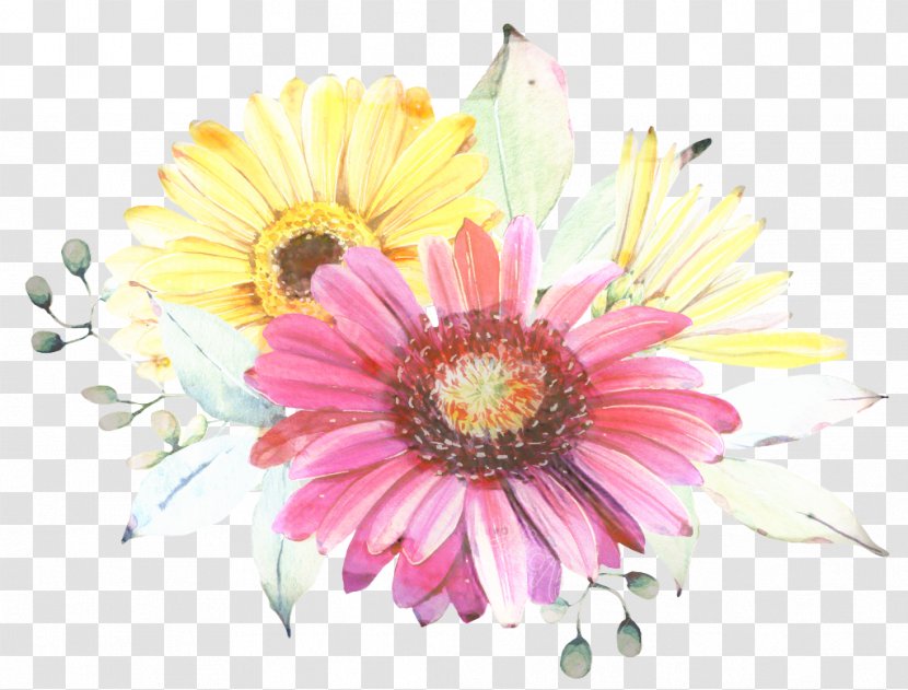 Chrysanthemum Transvaal Daisy Family Cut Flowers Floral Design - Marguerite - Floristry Transparent PNG