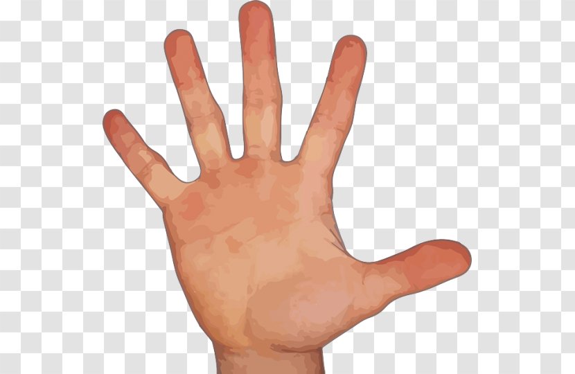Middle Finger Clip Art - Safety Glove - Hand Transparent PNG