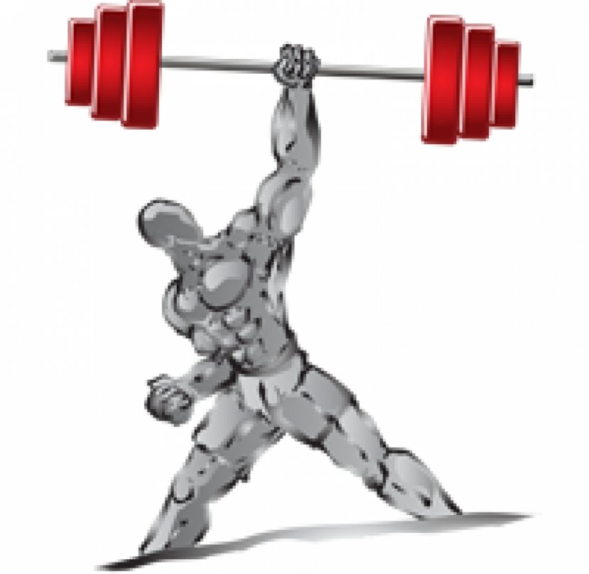 Muscle Weight Training Dumbbell Clip Art - Olympic Weightlifting - Barbell Transparent PNG