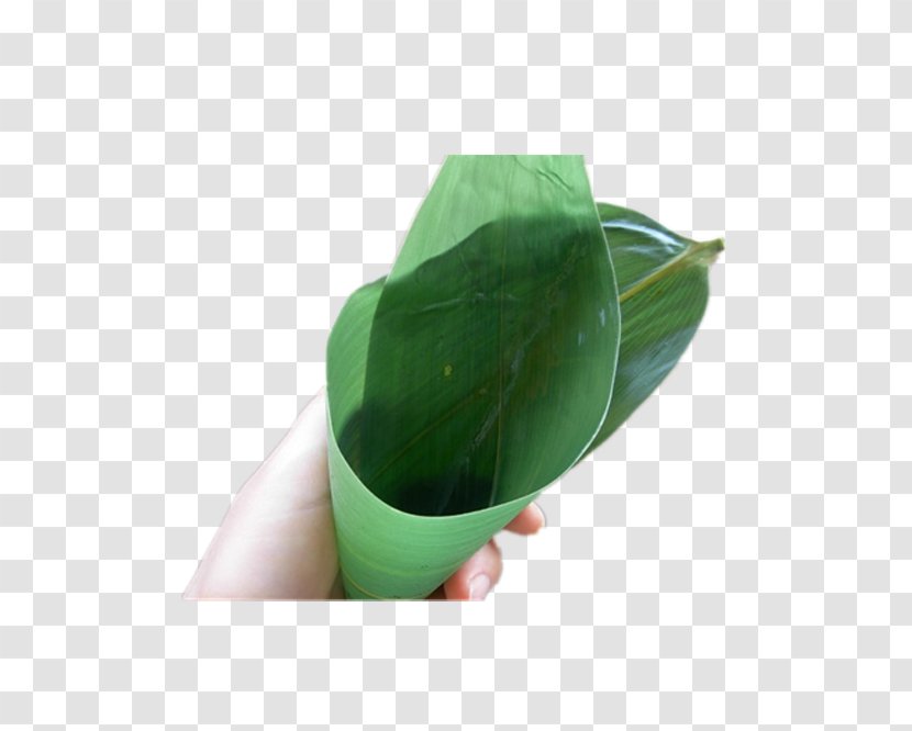 Zongzi Leaf Gratis - Bamboo Leaves Folded Into A Funnel-shaped Transparent PNG