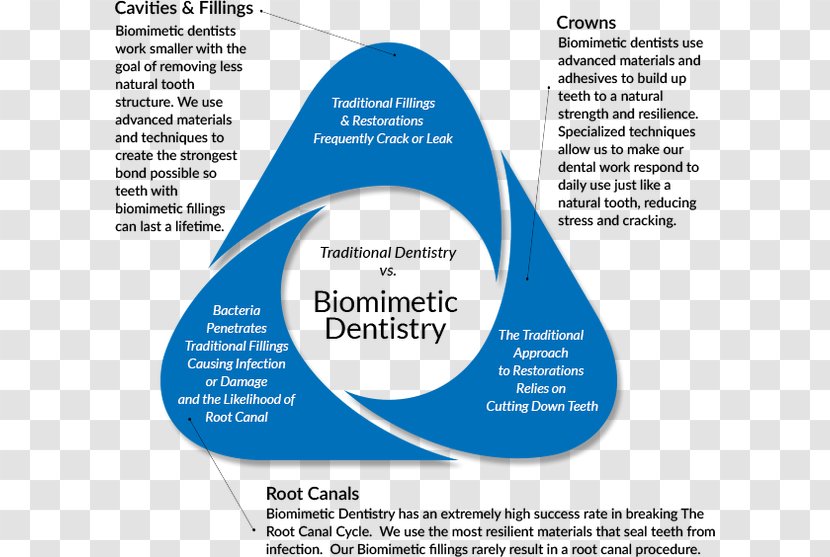 Dentistry Dental Restoration Biomimetics Surgery - Crown Transparent PNG