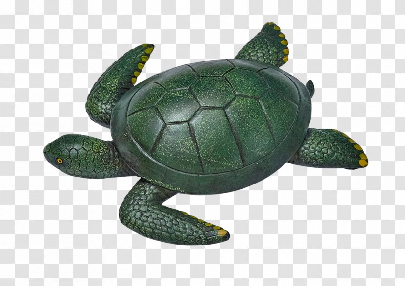 Sea Turtle Tortoise Pond Turtles Artificial Stone Transparent PNG