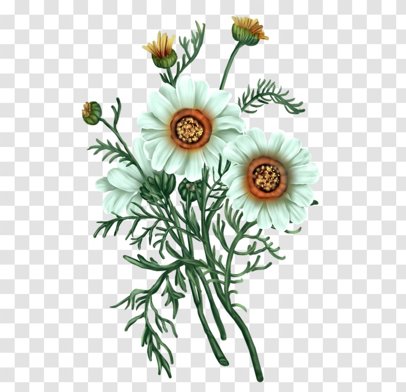 Flower Blog Tutorial Floral Design - Daisy Family Transparent PNG
