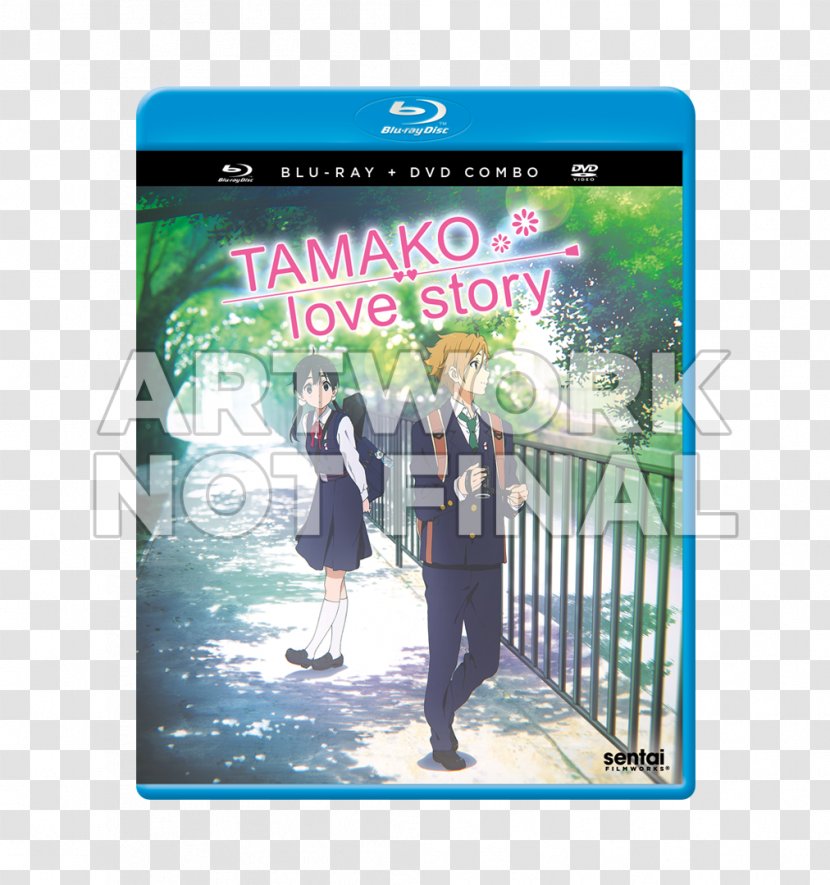 Blu-ray Disc Tamako Kitashirakawa Film DVD Box Set - Frame - Dvd Transparent PNG