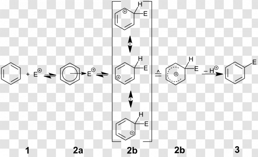 Electrophilic Aromatic Substitution Reaction Electrophile Compounds - Door Handle Transparent PNG