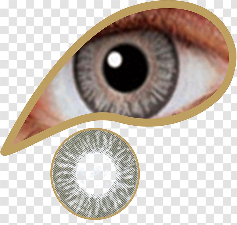 Contact Lenses Green Color Eye - Close Up Transparent PNG