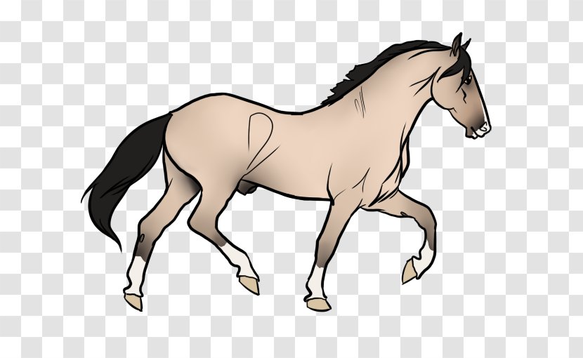 Foal Mane Mustang Stallion Bridle - Yonni Meyer - Show Shots Fired Transparent PNG