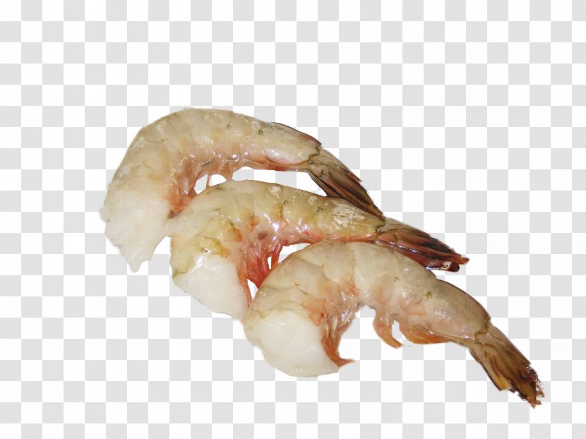 Caridea Lobster Shrimp Seafood Fettuccine Alfredo - Caridean Transparent PNG