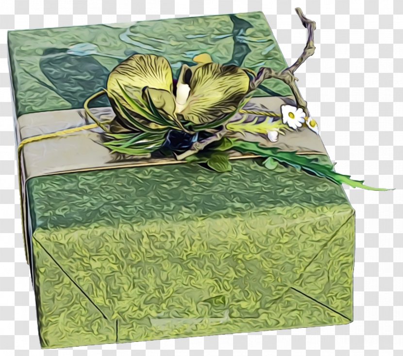 Green Box Leaf Gift Wrapping Plant - New Year - Flower Present Transparent PNG