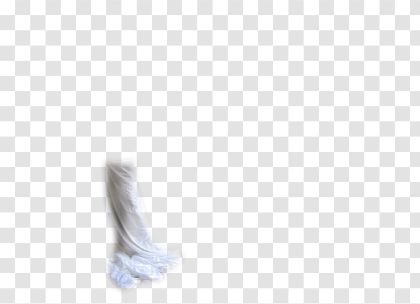 Shoe Neck Feather - Swan Dance Transparent PNG