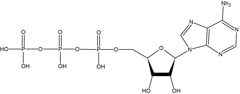 Organic Chemistry Chemical Compound Acid Anhydride - Dimethyl Sulfide Transparent PNG