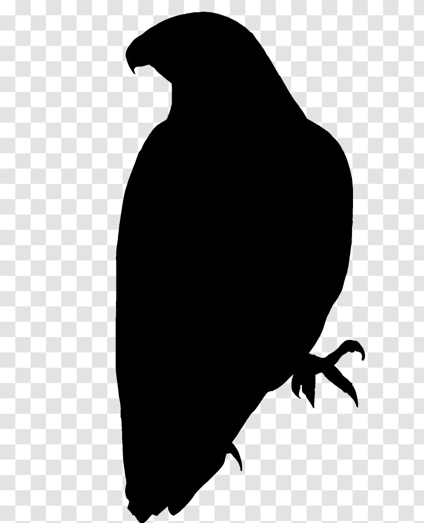 Beak Fauna Silhouette Font Black M - Crow Transparent PNG