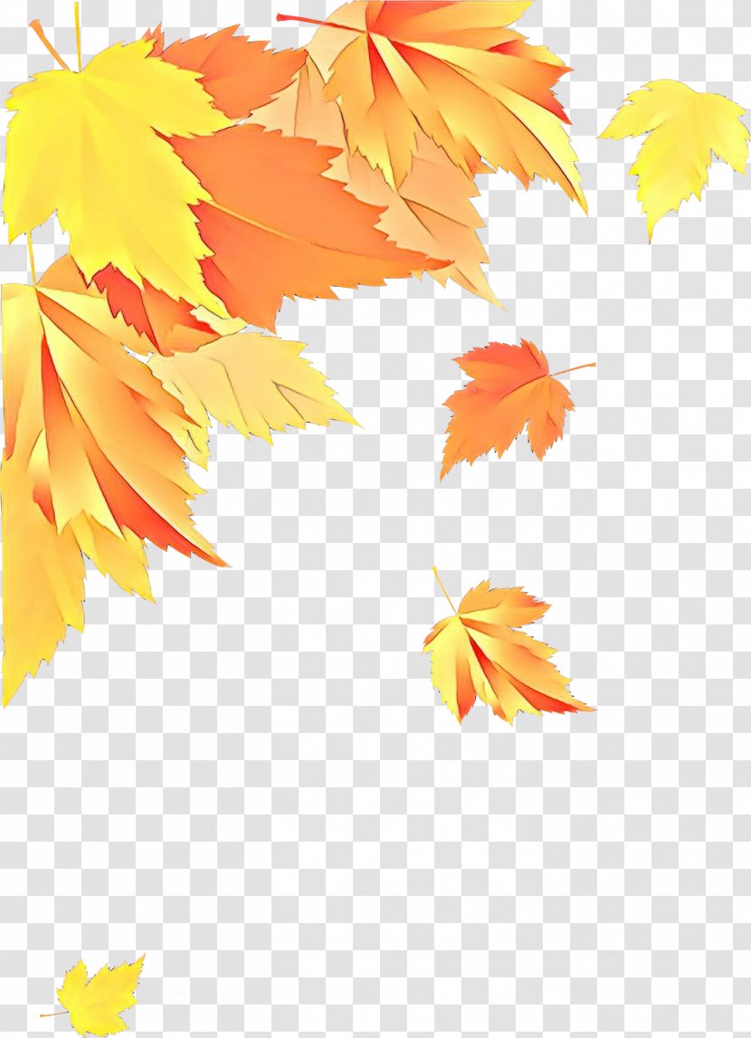 Maple Leaf - Autumn Black Transparent PNG