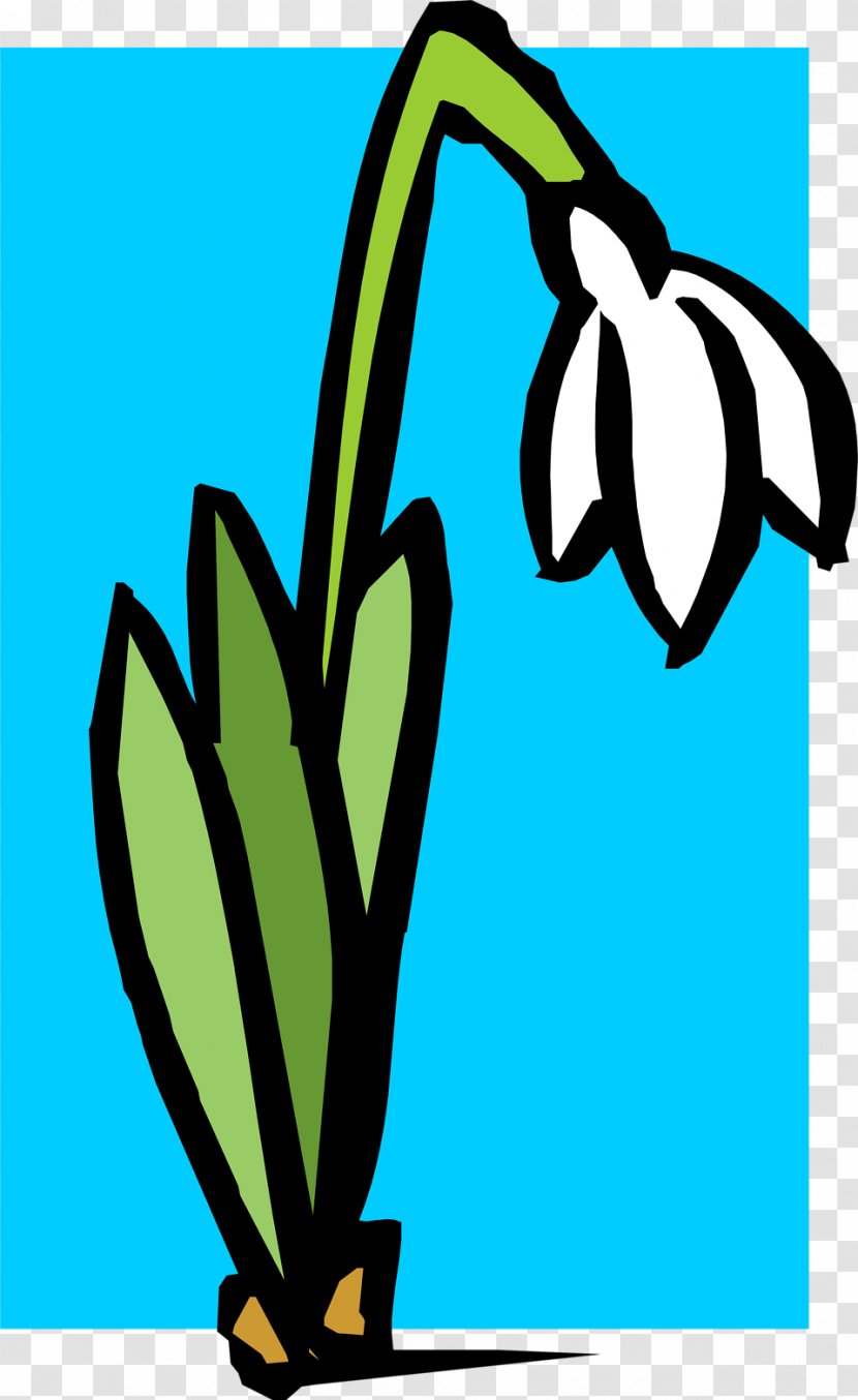 Snowdrop March 1 Mărțișor Martenitsa Spring - M%c4%83r%c8%9bi%c8%99or - White Flower Illustration Transparent PNG