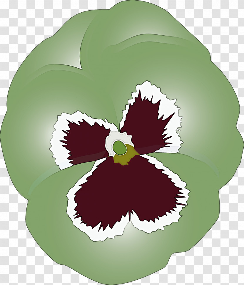 PANSY Spring Flower Transparent PNG