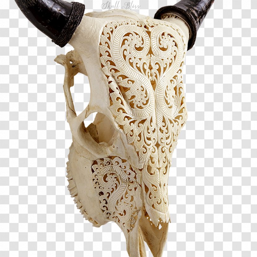 Animal Skulls Cattle Bone Human Skeleton - Frame - Longhorn Skull Transparent PNG