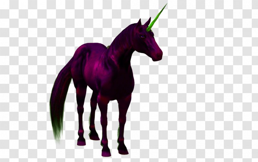 Unicorn Horse PhotoScape - Photoscape - Dark Transparent PNG