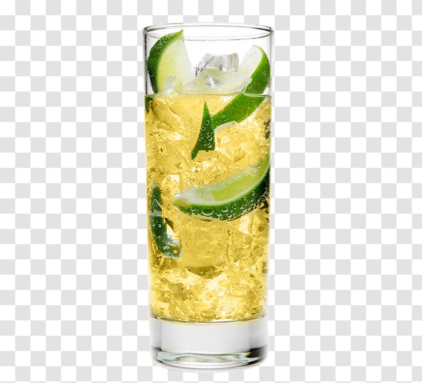 Rickey Highball Mojito Lemonade Vodka Tonic - Lime Transparent PNG