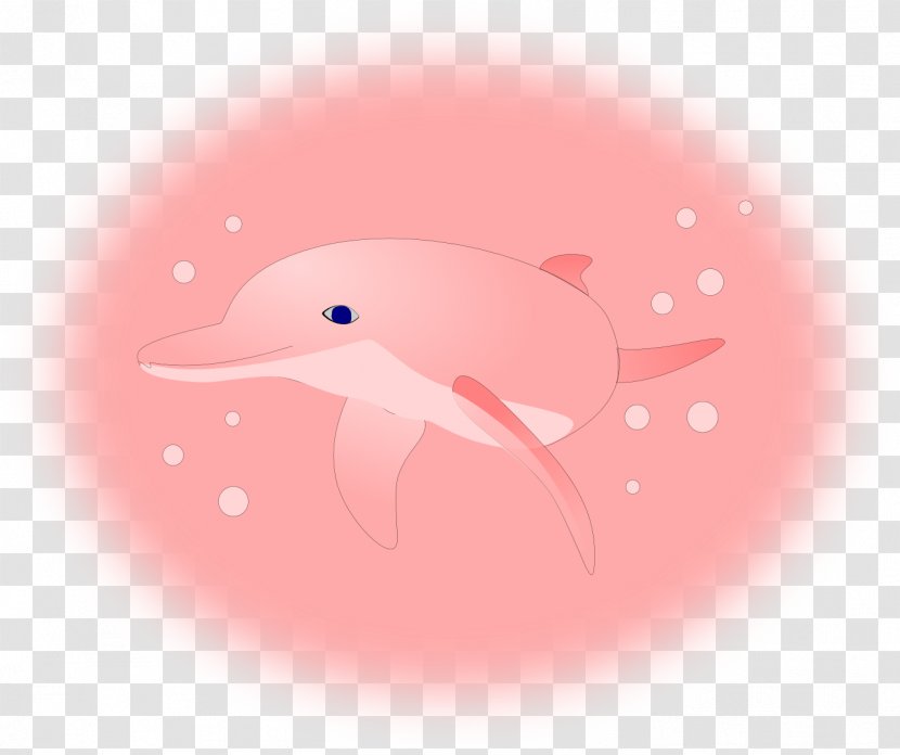 Amazon River Dolphin Desktop Wallpaper Pink+Dolphin Clothing - Display Resolution Transparent PNG
