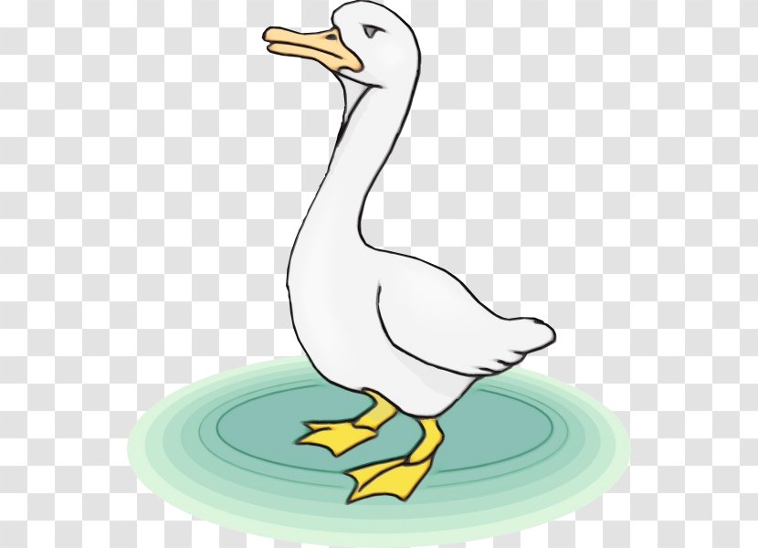 Chicken Cartoon - Canada Goose - White Stork Ducks Geese And Swans Transparent PNG