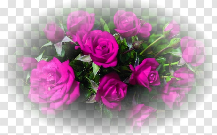Rose Desktop Wallpaper Cut Flowers - Green Transparent PNG