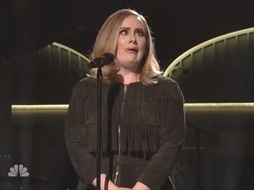 Adele Saturday Night Live Singer-songwriter Musician - Frame Transparent PNG