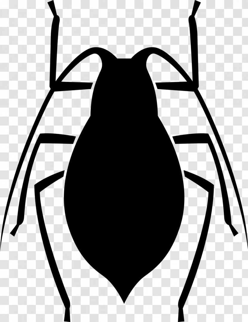 Insect - Pest Control - Bugs Transparent PNG