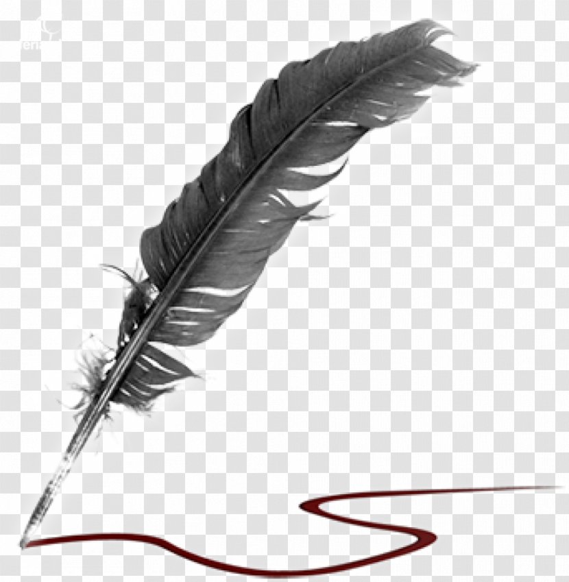 Literature Quill Creative Writing Poetry - Organization - Writer Transparent PNG