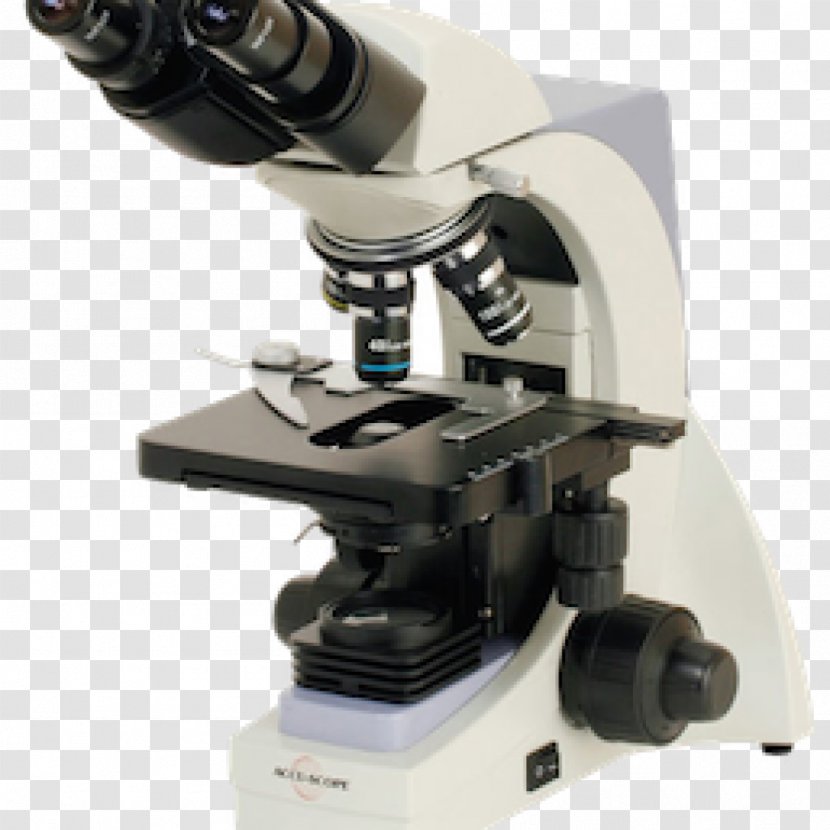 Optical Microscope Dark-field Microscopy Optics Bright-field - Optische Abbildung Transparent PNG