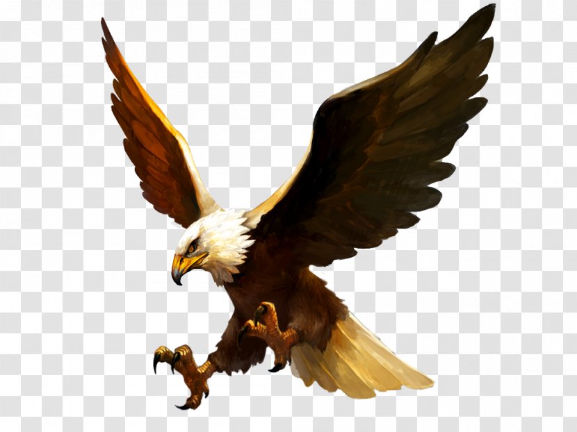 Might And Magic: Heroes Online Bald Eagle Bird Video Game - Beak Transparent PNG