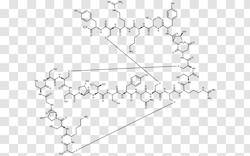 Transition Metal White Point Coordination Complex - Frame - Conotoxin Transparent PNG