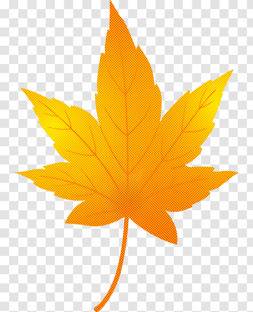 Maple Leaf Autumn Leaf Yellow Leaf Transparent PNG