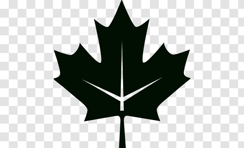 Flag Of Canada 150th Anniversary Maple Leaf - National Transparent PNG