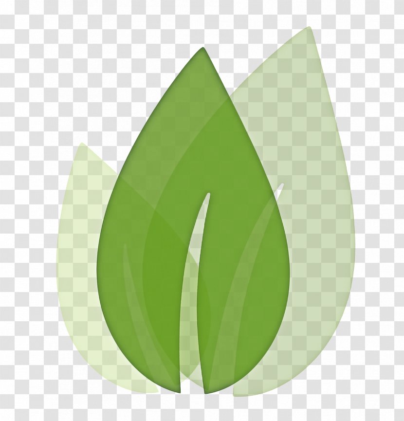 Green Leaf Logo - Flower Grass Transparent PNG