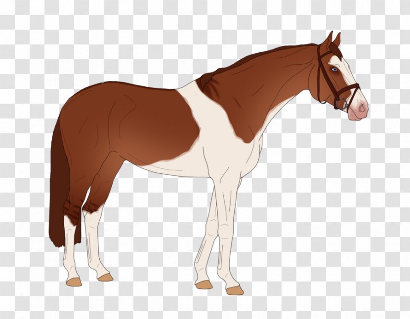 Stallion Mare Foal Colt Mane - Horse Harness - Mustang Transparent PNG