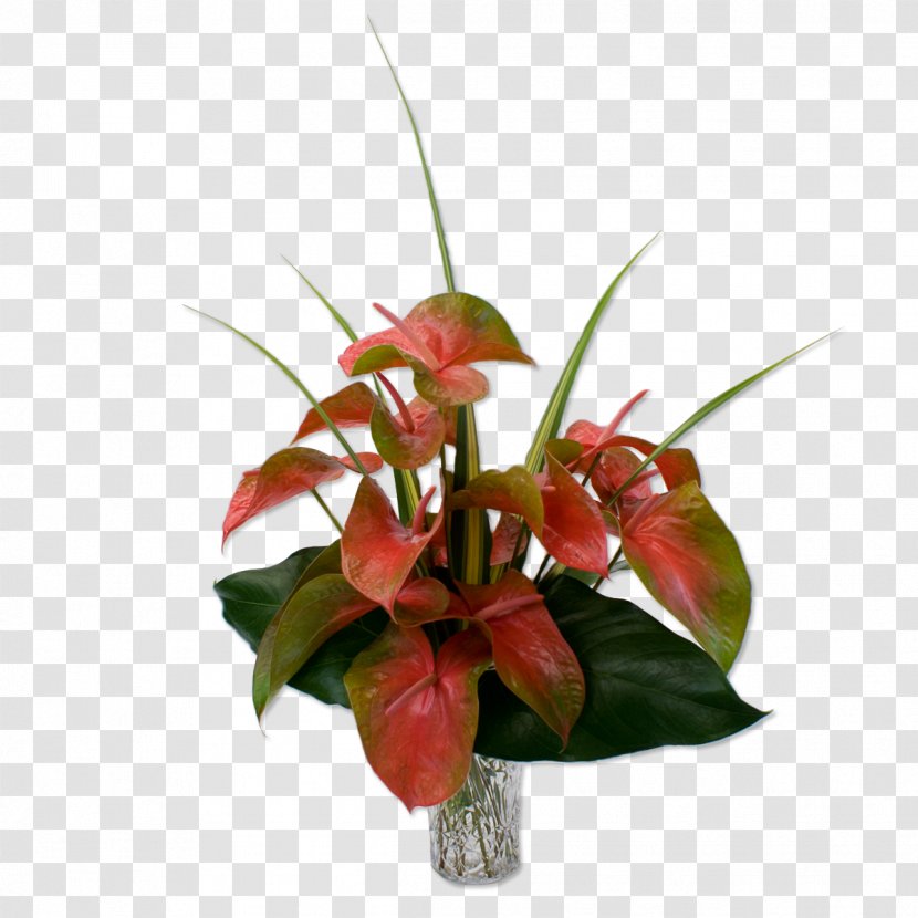 Hawaii Anthurium Andraeanum Flower Bouquet Cut Flowers - Floristry - Tropical Transparent PNG