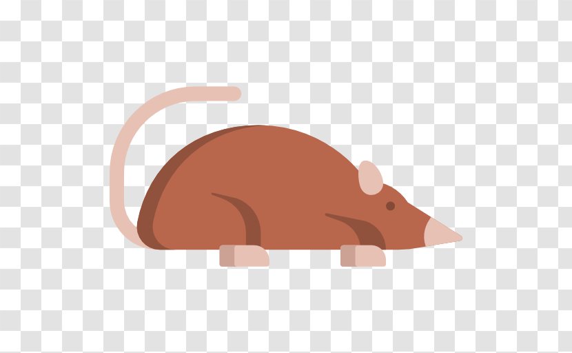 Rat - Animal Transparent PNG