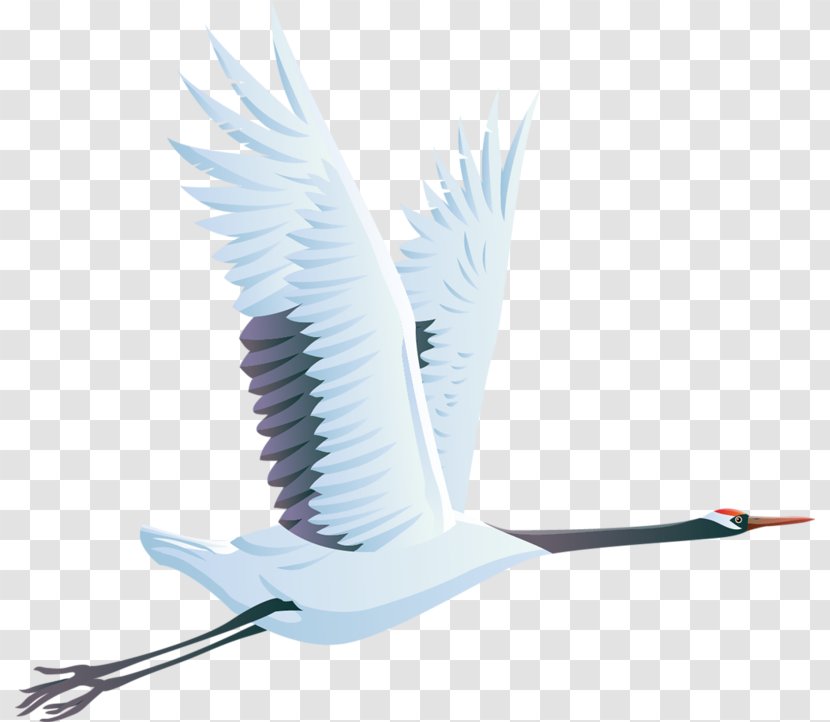 Bird Red-crowned Crane Clip Art - Feather Transparent PNG