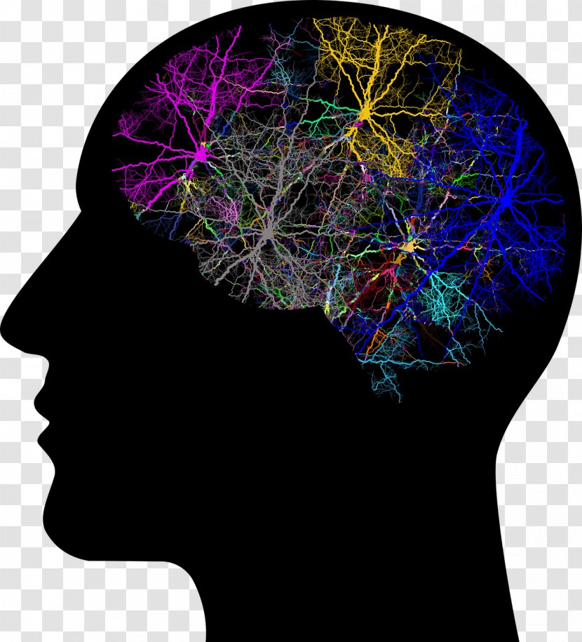 Human Brain Head Transcranial Magnetic Stimulation - Watercolor Transparent PNG