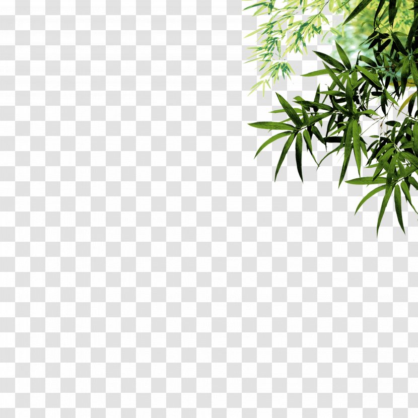 Bamboo Leaf Ink Icon - Tree - Green Transparent PNG