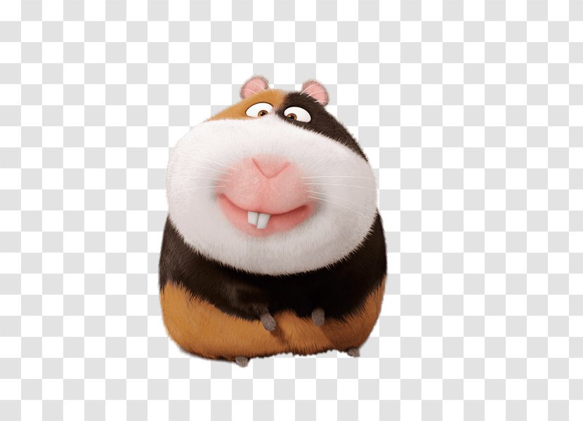 Guinea Pig Chloe Gidget The Secret Life Of Pets Image - Steve Coogan - Pets4home Transparent PNG