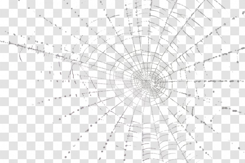 Drawing Monochrome Photography Black And White - Spider Web Transparent PNG
